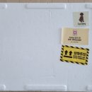 소울독(SOULDOG) 이미지