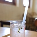 도그에이드 이미지