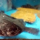 해원수산식당 이미지