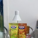 달달한공부방 | 박카스맛 젤리? 진짜야?! 박맛젤 Original &amp; Sweet&amp;Sour 솔직 후기