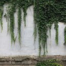 주식회사 그린기프트 이미지