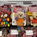 (주)온힐펫 이미지