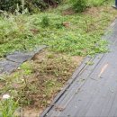 미경농장 이미지