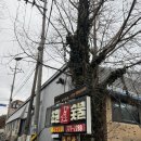 초원한우 | 경주 한우 맛집 초원암수숯불 초원한우 내돈내산 후기(주차가능, 단체가능)