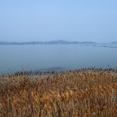 고흥군두원면대전보건진료소 | [공지] 남파랑길 74코스