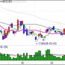 차트&급소 - 조류독감과 SKC,, 그리고 추천주 이미지