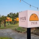 성산 애견농장 네이버블로그