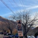 평원애견 이미지