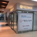 강원도 속초시 임플란트 치과 하나 공개 5(저렴하고 만족도 좋은 치과)