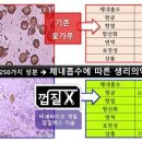 비센바이오(주) 이미지
