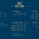 도그힐튼 이미지