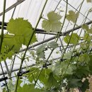 송아리농장 이미지