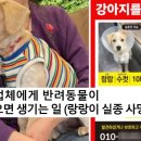 동부 동물병원 이미지