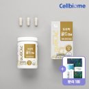 골드약국 | 임신준비 유산균 영양제 듀오락 골드 캡슐 약국 추천 프리바이오틱스 영양제