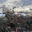 마산골농장 이미지