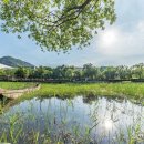 김해 티스토리