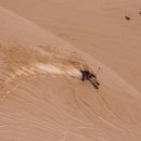 (주)커니스 이미지