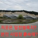 6코스 산행.12 (때삼과 상황 나물수확)원본 약초 매니아 카페 이미지