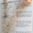 네바퀴카센타 이미지