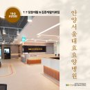 서울대효병원 이미지