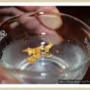 참좋은참치 이미지