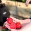 롯데가야유치원 이미지