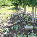 노좌3리 이미지