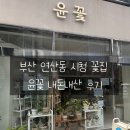 꽃 | 부산 연산동 시청 꽃집 윤꽃 내돈내산 후기