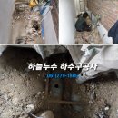 하필경로당 Daum카페