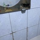 정읍천이동화장실4 | 성남 화장실 노약자 보조손잡이 설치작업 후기