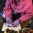 도래재별빛마을캠핑장 이미지