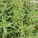 행복한우리마트 이미지