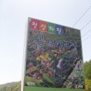 천상정원