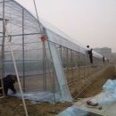 베드로 농장 이미지