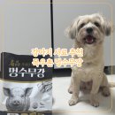 강 | 강아지사료추천 목우촌 멍수무강 후기 내돈내산