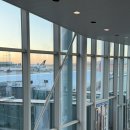 미인열차 | 가오슝보다 먼저 온 타이페이 후기(1205~1208)