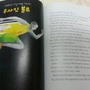 가나스포츠 - 순천시 연향로 21-1 | 가나스포츠