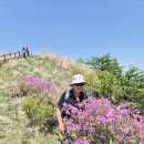지리산바래봉 1185m 26,5/10 이미지