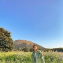 정훈렌트 이미지