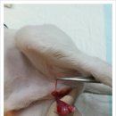 뉴월드동물병원 이미지