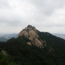 장경종