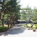 가평소나무팬션 이미지