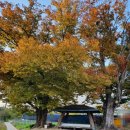 고복1리마을회관 이미지