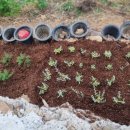 플렉스허브 이미지