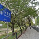 신장둔치 이미지