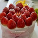 보정동 딸기 케이크 맛집 마망윤 Maman윤 마망딸기밭 후기