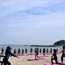 서핑풀패키지 와이 비자로 바베큐 펍 파티까지 달려 양리단길 솔 게스트하우스 양양 서핑점