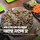 자연애 | [평창/대관령면] 용평리조트 맛집 놀면뭐하니 메밀 '대관령자연애' 저녁 후기