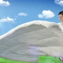 빨래하는날 이미지