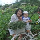 합천나우누리펜션 이미지